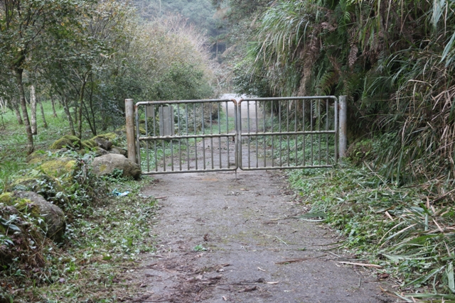 50.這是從登山口開始好走的路.JPG