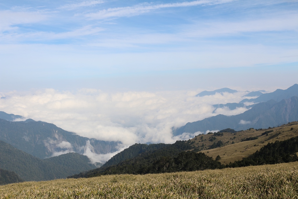 11.1往南華山途中雲海,這也是此行唯一看到的雲海景色IMG_1238.JPG