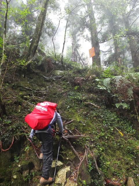 切入往自忠山.JPG