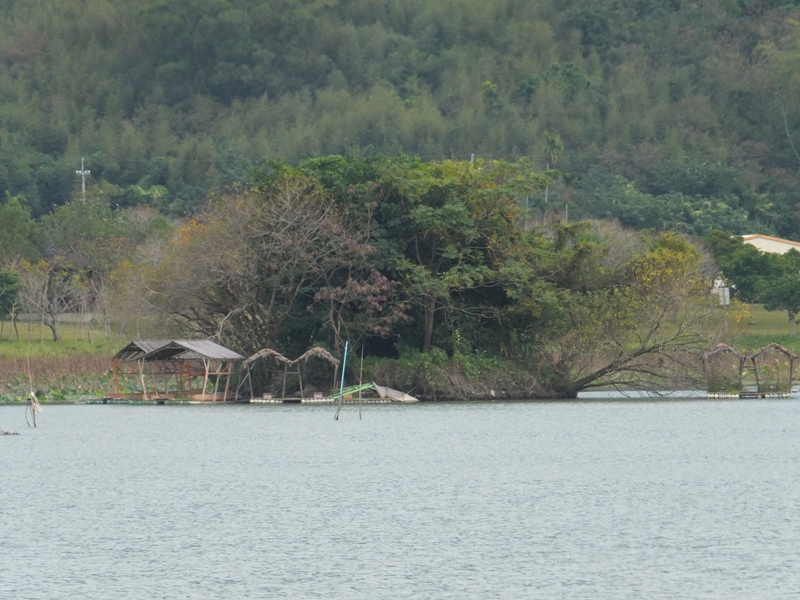 DSCF0132.JPG
