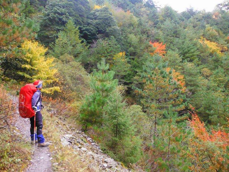 06畢祿山820林道楓紅了.JPG