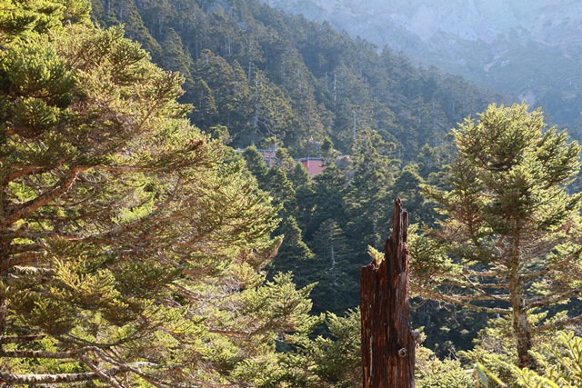 19.排雲山莊到了.jpg