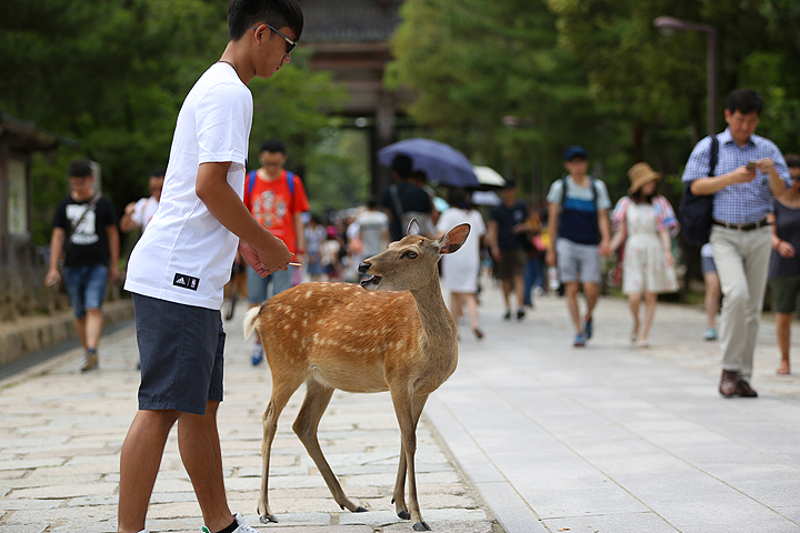 圖檔