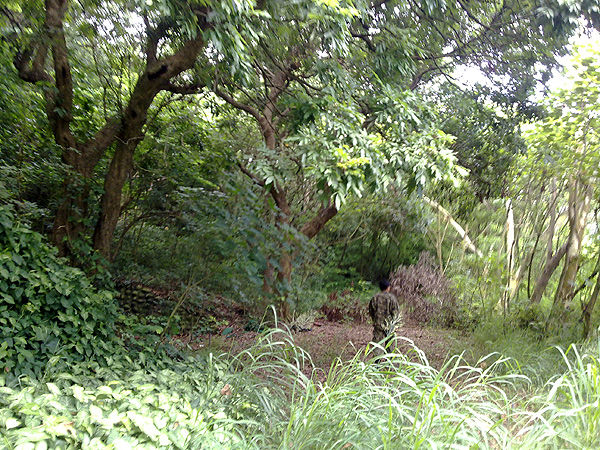 201008221947.jpg