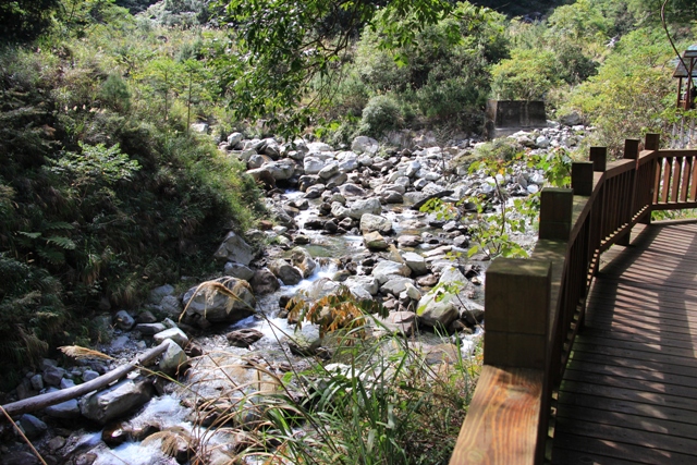 八仙山-溪邊步道.JPG