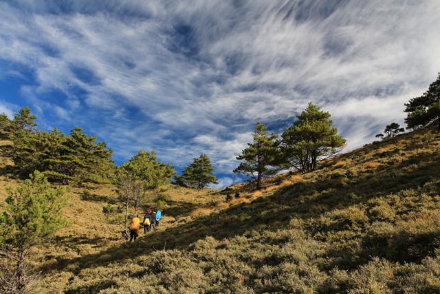 18.爬山為的就是如此美景.jpg